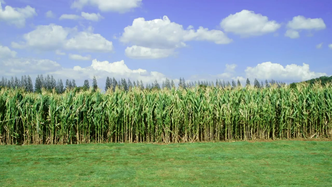 Precision Farming